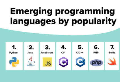 Most In-Demand Programming Languages in 2025
