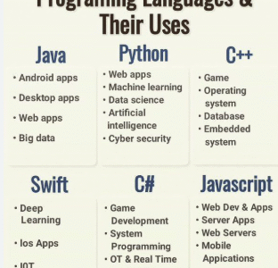 Top Programming Careers and the Languages They Use