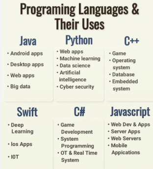 Top Programming Careers and the Languages They Use