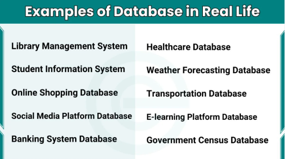 What is a Database? | Explained with Real-Life Examples